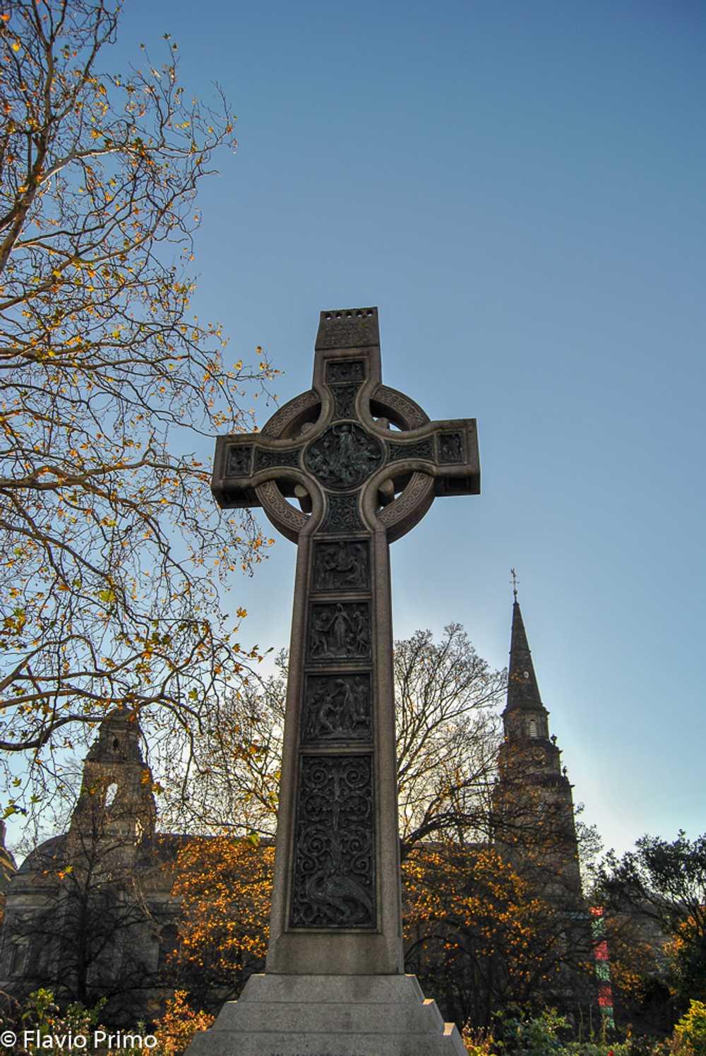 photo in the gallery