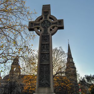 big size photo in the gallery