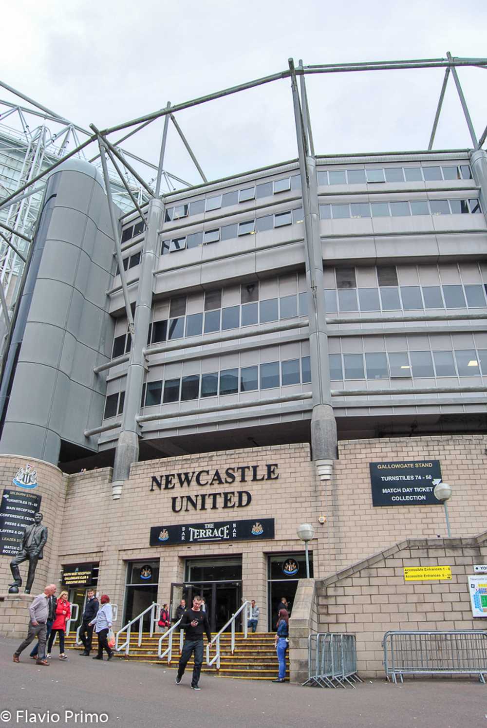 photo in the gallery