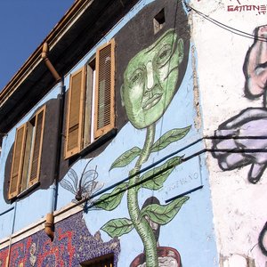 big size photo in the gallery