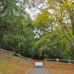 big size photo in the gallery