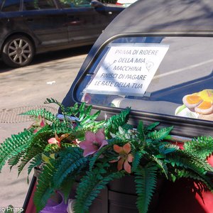 big size photo in the gallery