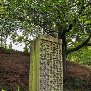 big size photo in the gallery