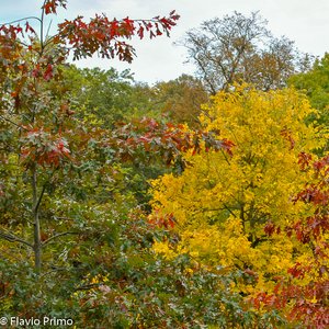 big size photo in the gallery