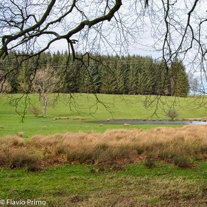 big size photo in the gallery