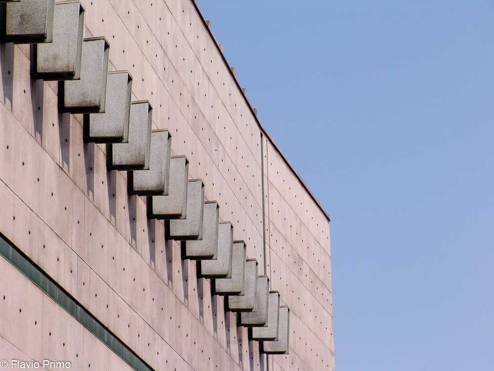 photo in the gallery