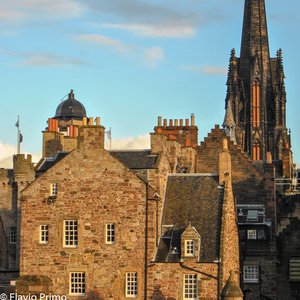 big size photo in the gallery