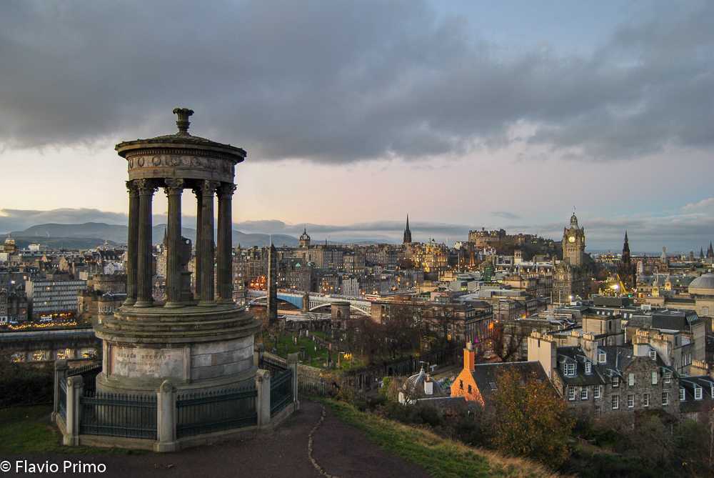 photo in the gallery