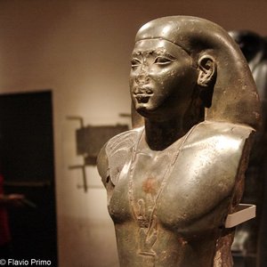 big size photo in the gallery