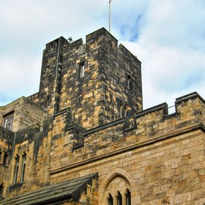 big size photo in the gallery