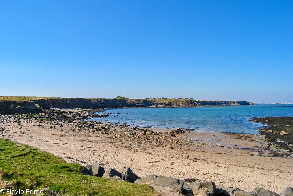 photo in the gallery