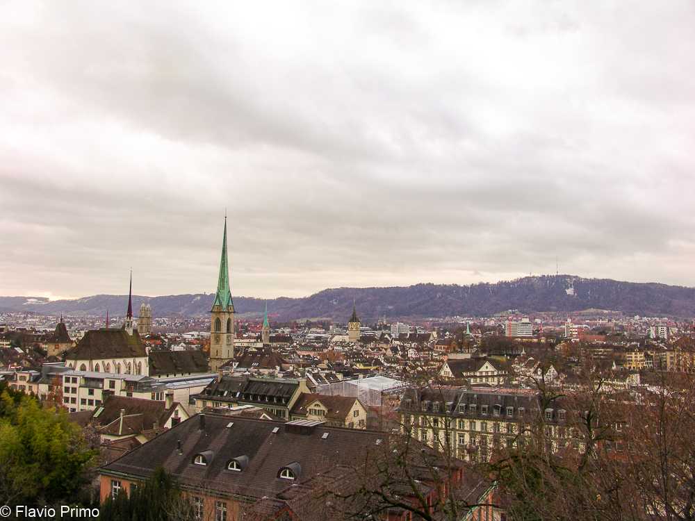 photo in the gallery