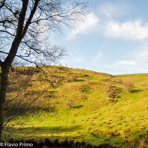 big size photo in the gallery