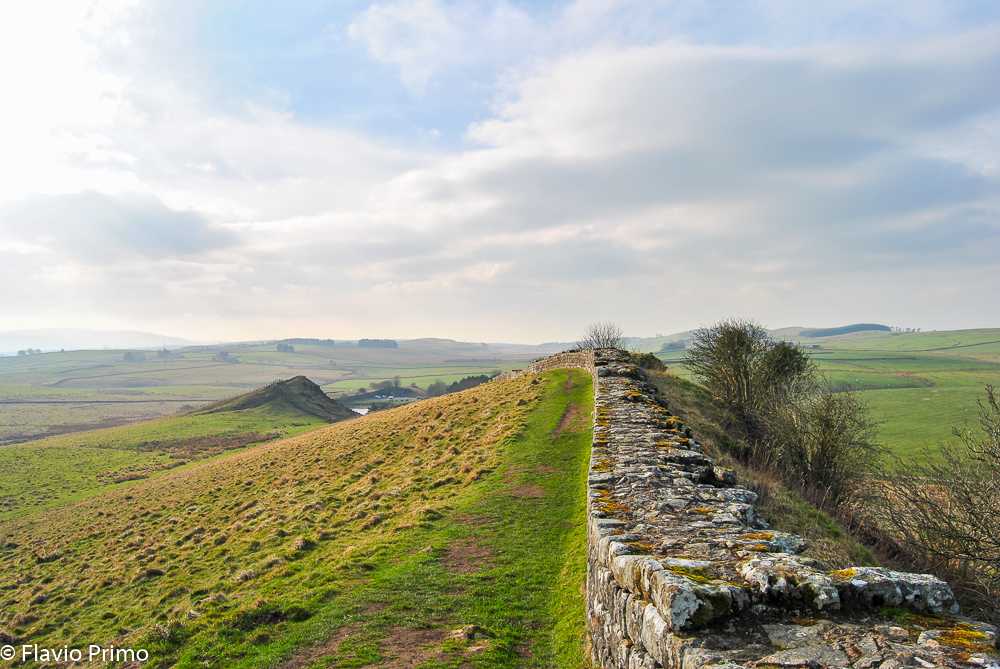 photo in the gallery