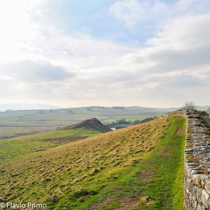 big size photo in the gallery