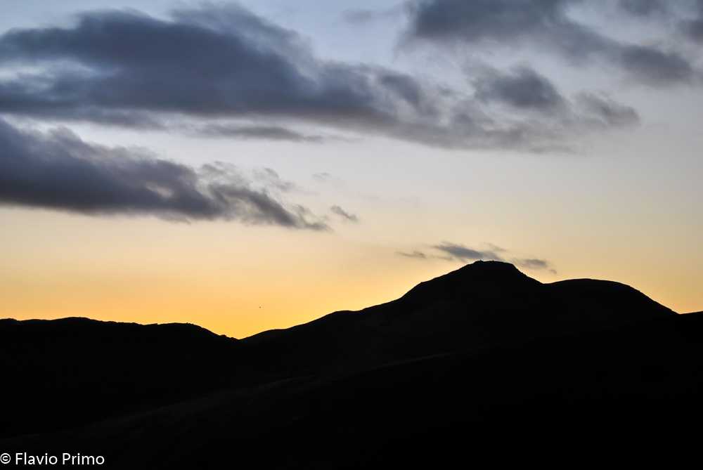 photo in the gallery