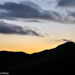 big size photo in the gallery