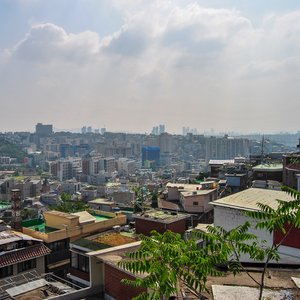 big size photo in the gallery