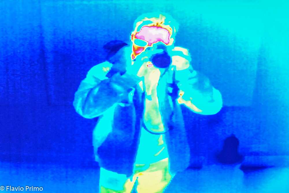 photo in the gallery