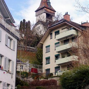 big size photo in the gallery