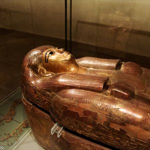 big size photo in the gallery