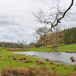 big size photo in the gallery