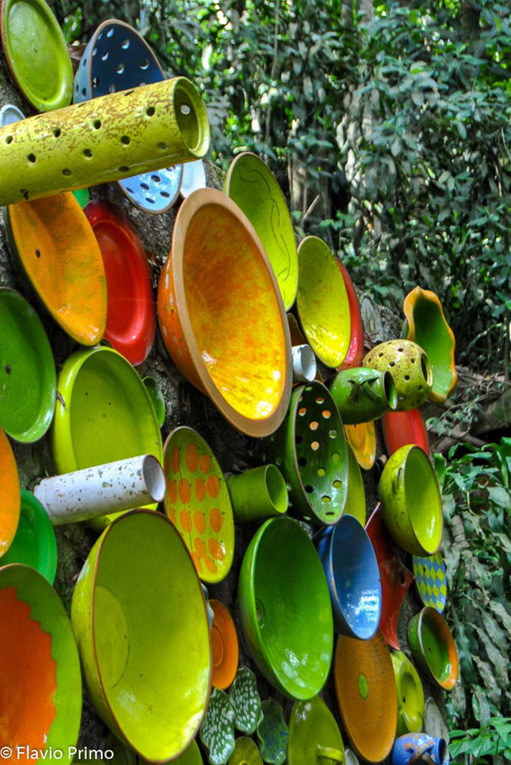 photo in the gallery