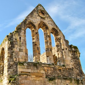 big size photo in the gallery