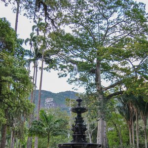 big size photo in the gallery