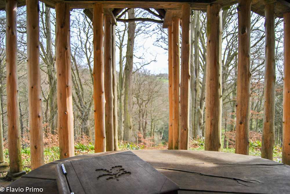 photo in the gallery