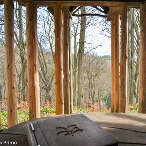 big size photo in the gallery