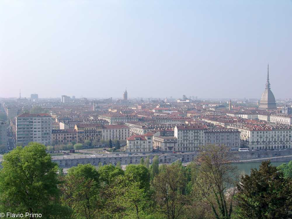 photo in the gallery