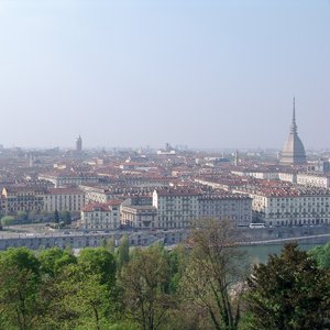 big size photo in the gallery