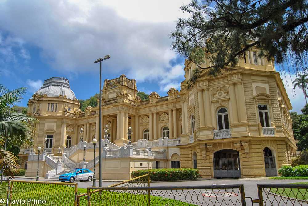 photo in the gallery