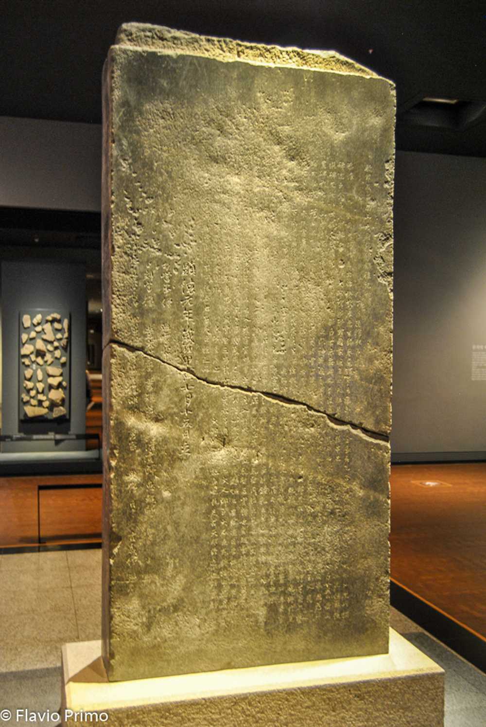 photo in the gallery