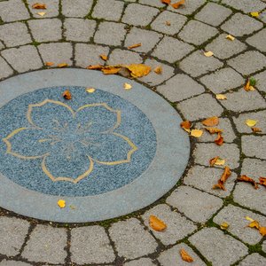 big size photo in the gallery