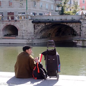 big size photo in the gallery