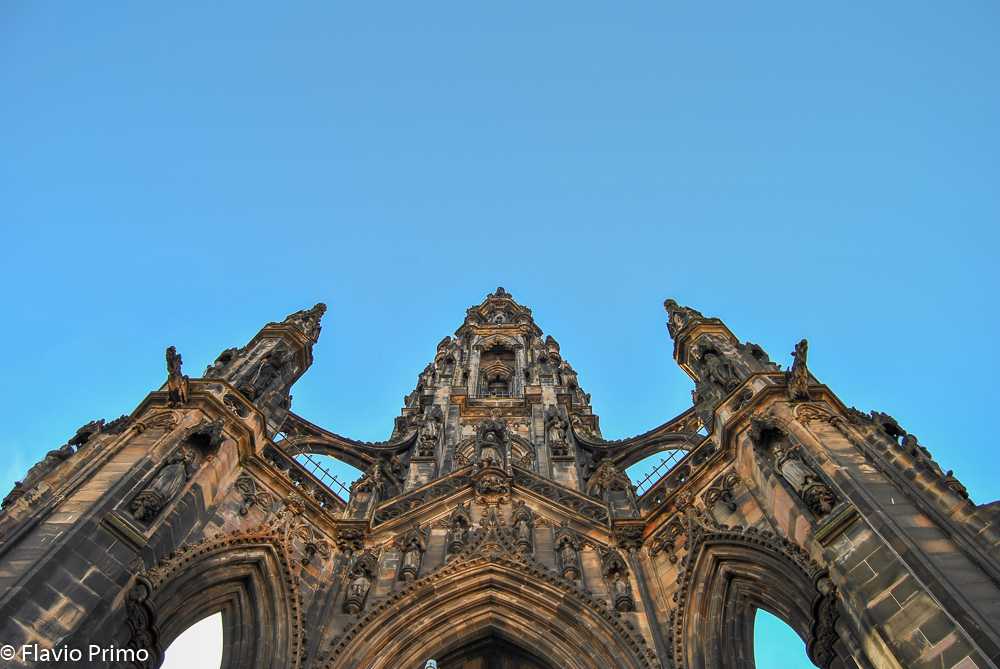 photo in the gallery