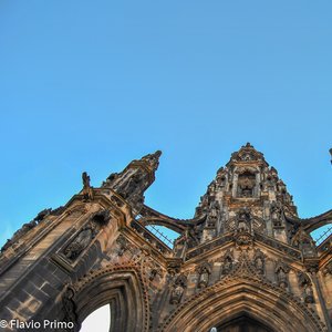 big size photo in the gallery