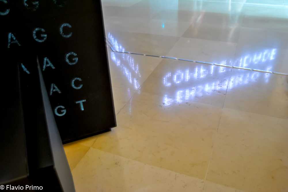 photo in the gallery