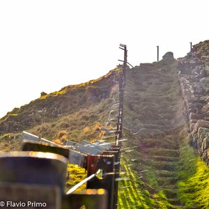 big size photo in the gallery