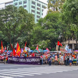 big size photo in the gallery