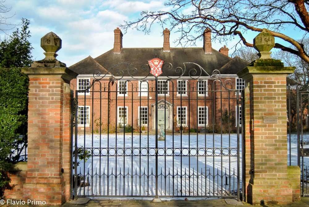 photo in the gallery