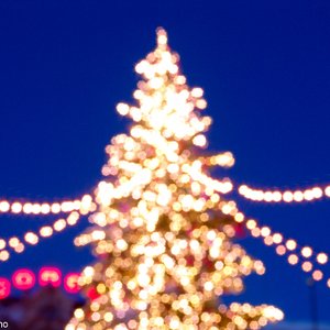 big size photo in the gallery