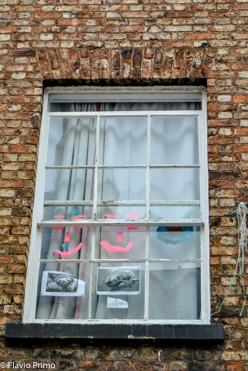 photo in the gallery