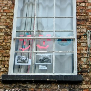 big size photo in the gallery