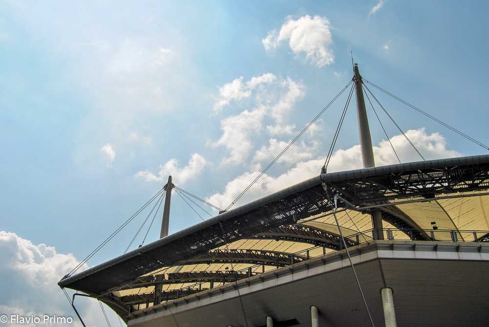 photo in the gallery