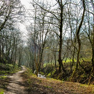 big size photo in the gallery