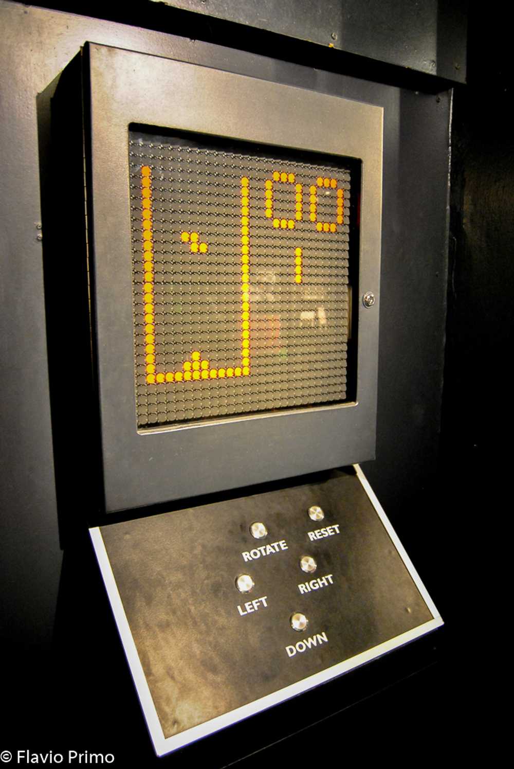 photo in the gallery