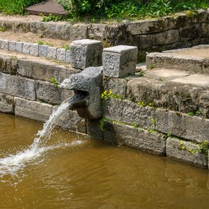 big size photo in the gallery